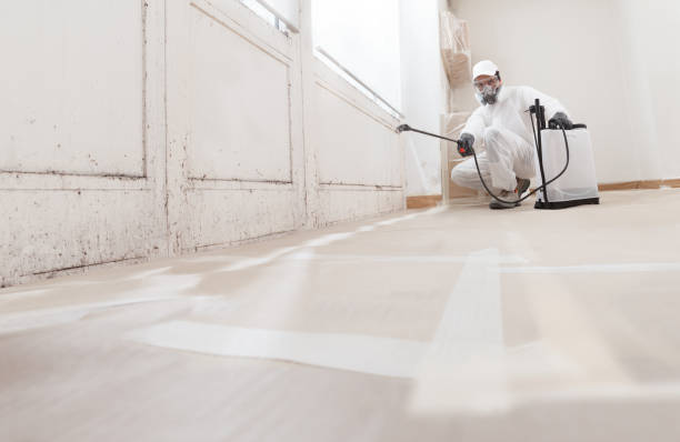 24/7 Emergency Mold Removal experts in Hopewell, PA